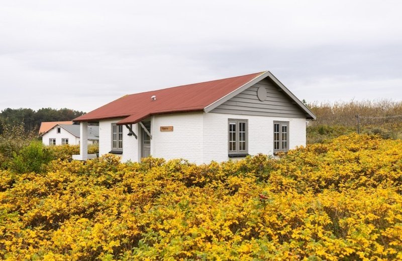 Aronweidenaar lr 8494 6756d0b2dbdce