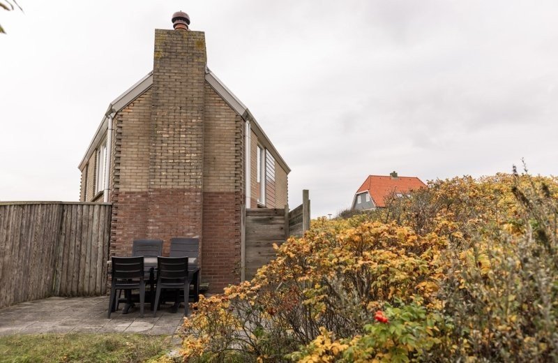 Aronweidenaar lr 8846